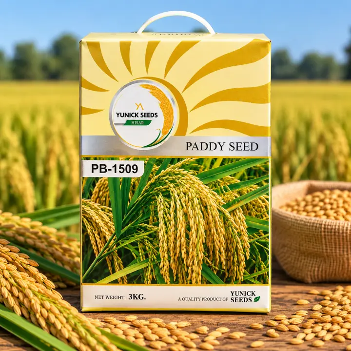 PB-1509 paddy seed box