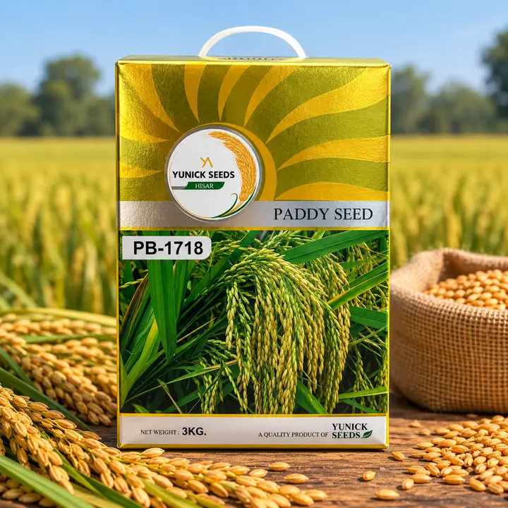 PB-1718 paddy seed box