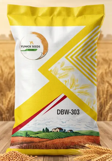 Yunick Seeds wheat DBW-303 bag