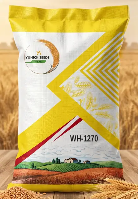 Yunick Seeds wheat WH-1270 bag